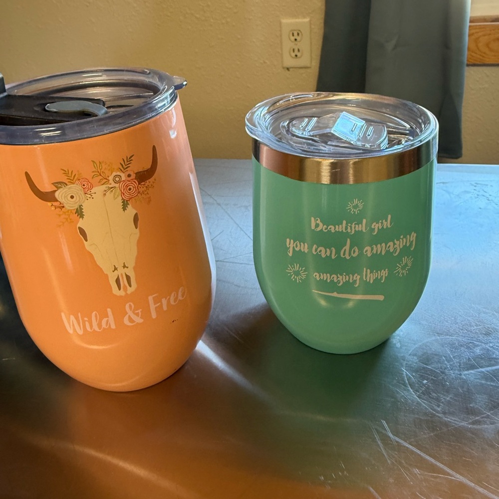 Wild & Free Peach and Aqua Insulated Tumbler Set